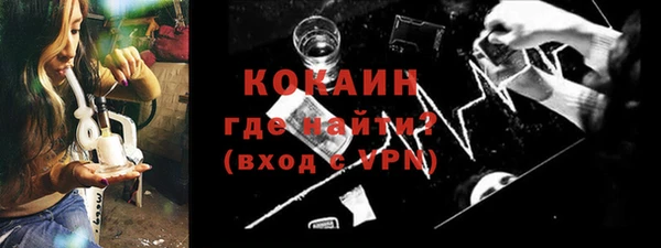 дживик Бородино