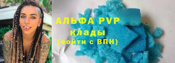 дживик Бородино