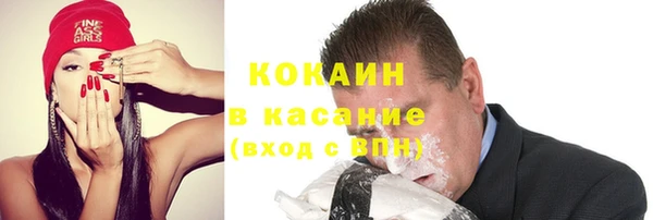 дживик Бородино