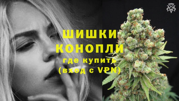дживик Бородино