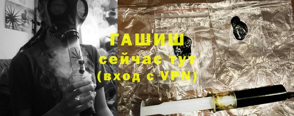 дживик Бородино