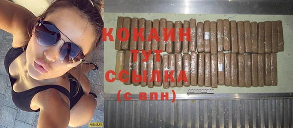 дживик Бородино