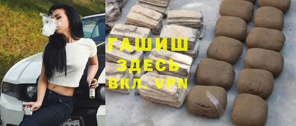 дживик Бородино