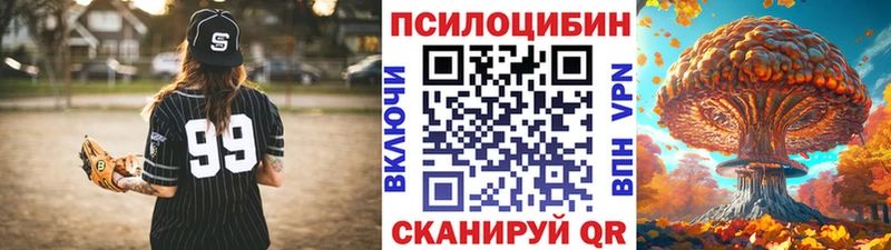 Псилоцибиновые грибы ЛСД  Купить закладки  Гаврилов-Ям 